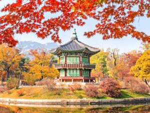 Gyeongbukgung and Maple tree in autumn.