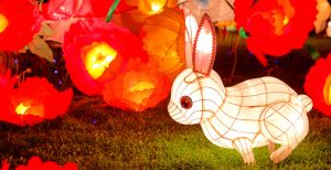 bunny lantern