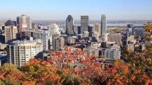 fall leaves in Canada