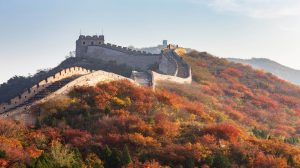 fall leaves in China 