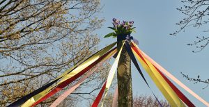 may pole