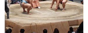 sumo_match