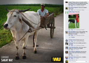 Blog Carabao