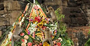 monkey buffet festival thailand