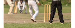 cricket