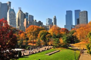 Outono in Central Park