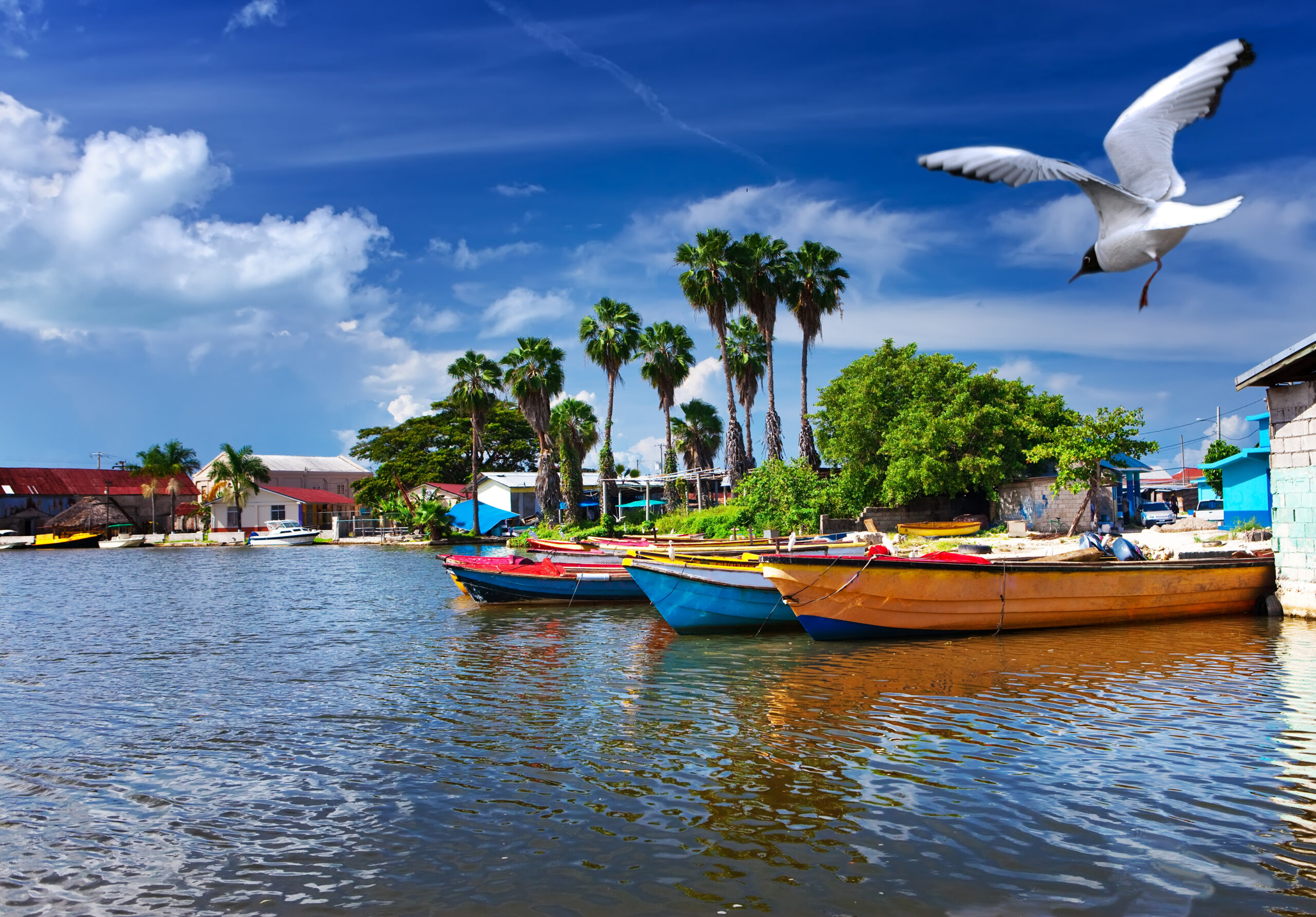 The Best Time To Visit Jamaica - Western Union