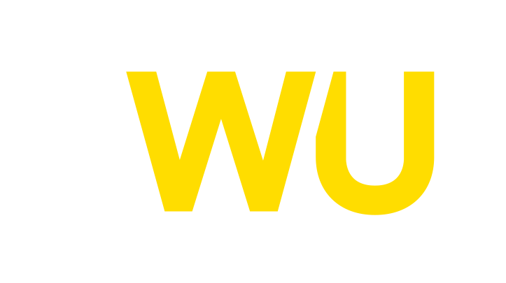 International Money Transfer Western Union