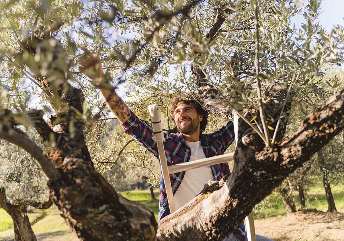 Send money to Italy Western Union Spain