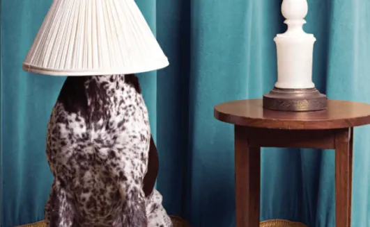 Be_sure_everything_is_as_it_seems_2018