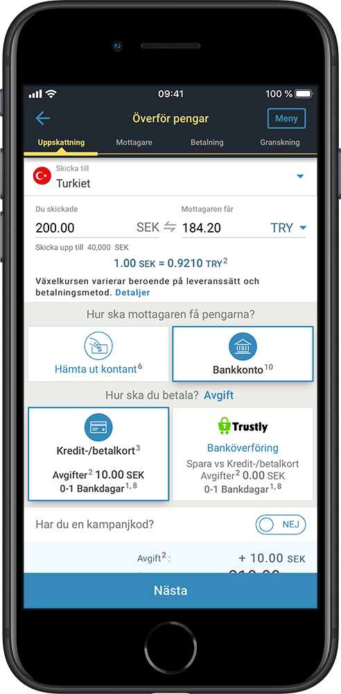 Internationella penningöverföringar Western Union SE